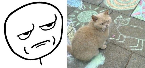 Cats-As-Rage-Faces