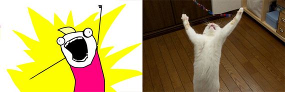 Cats-As-Rage-Faces
