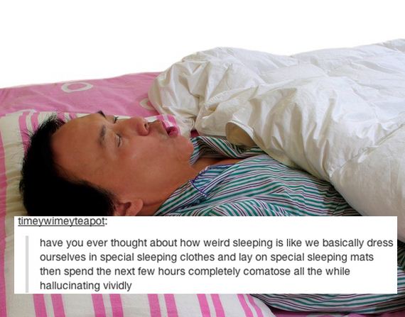 Everyday-Things-Tumblr-Will-Make-Question