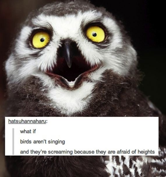 Everyday-Things-Tumblr-Will-Make-Question