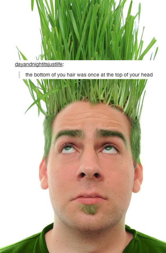 Everyday-Things-Tumblr-Will-Make-Question