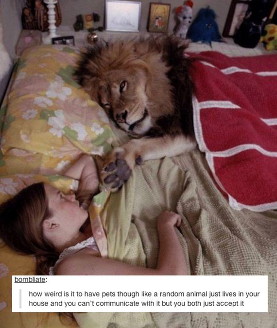 Everyday-Things-Tumblr-Will-Make-Question