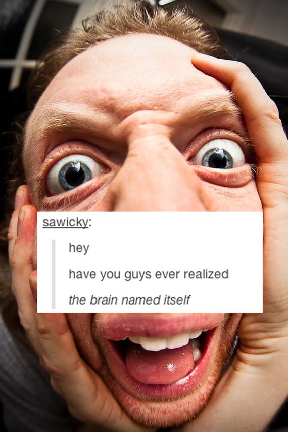 Everyday-Things-Tumblr-Will-Make-Question