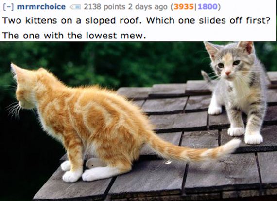 Jokes-Only-Nerds-Will-Understand