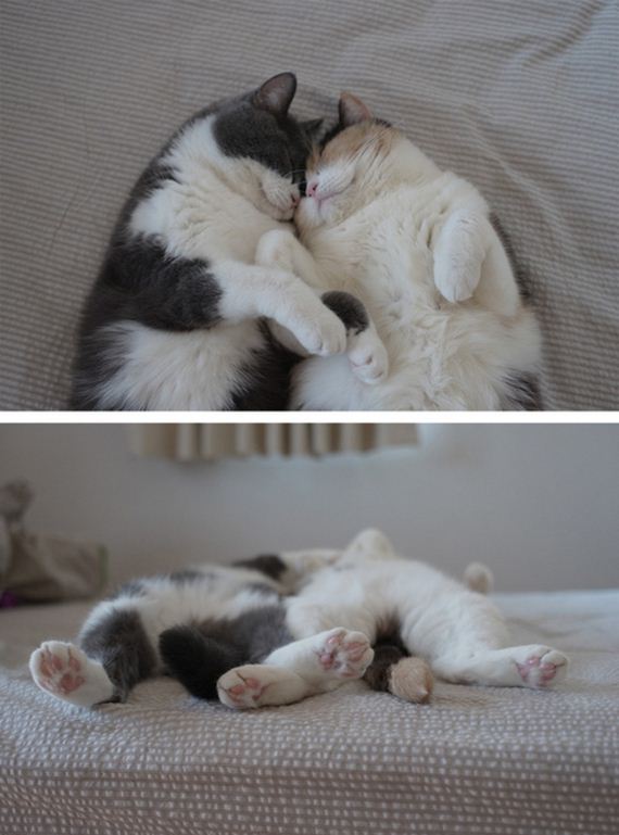Most-Important-Cuddling-Positions