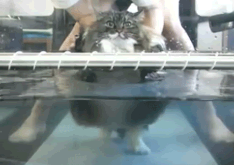 Reasons-Why-You-Shouldnt-Work