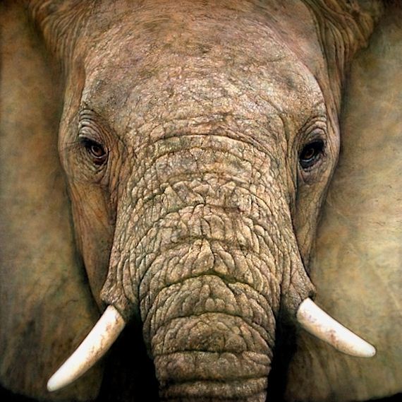 Stunning-Works-Art