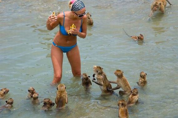 Things-You-Dont-Want-See-Beach-Summer