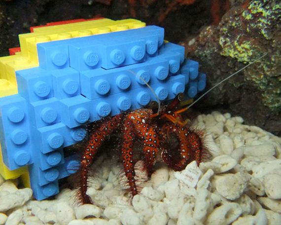 Unexpectedly-Awesome-Lego-Creations