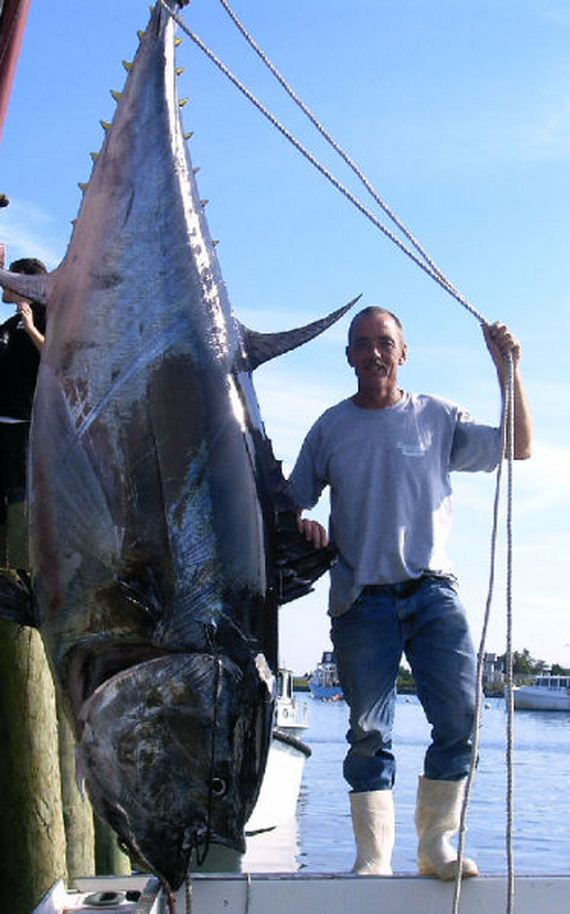 a_few_fishermens_biggest_catches_ever