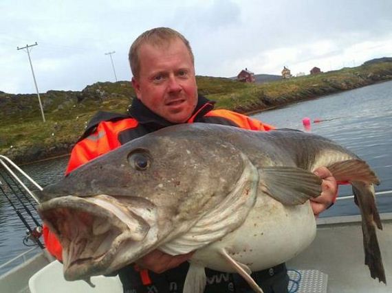 a_few_fishermens_biggest_catches_ever