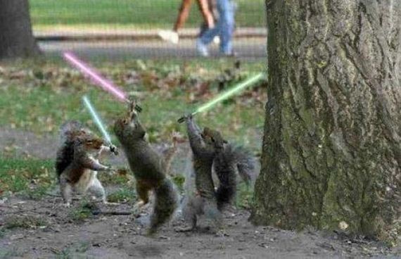 a_picture_tribute_to_star_wars