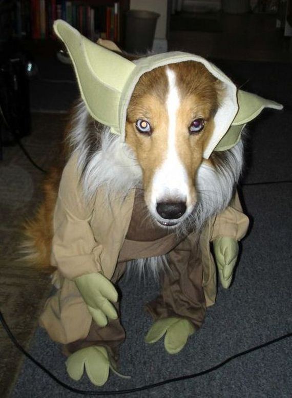 a_picture_tribute_to_star_wars