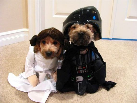 a_picture_tribute_to_star_wars