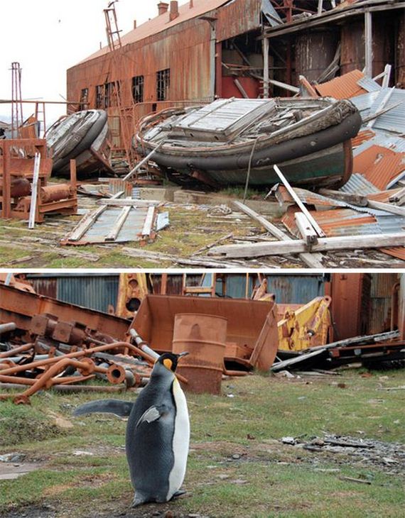abandoned_wonders_of_antarctica