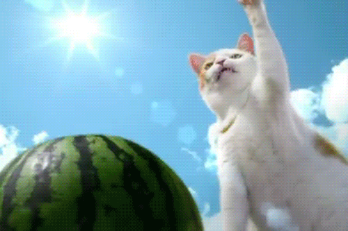 absolutely-unexplainable-gifs