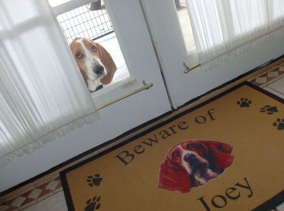 acid_picdump_2