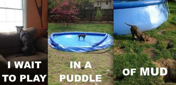 acid_picdump_2