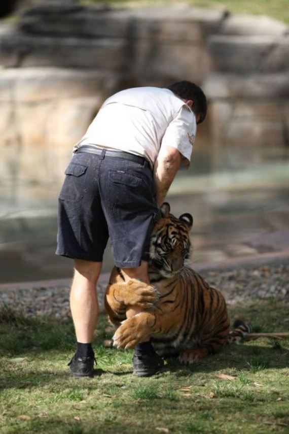 acid_picdump_2