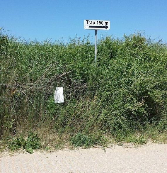 acid_picdump_2