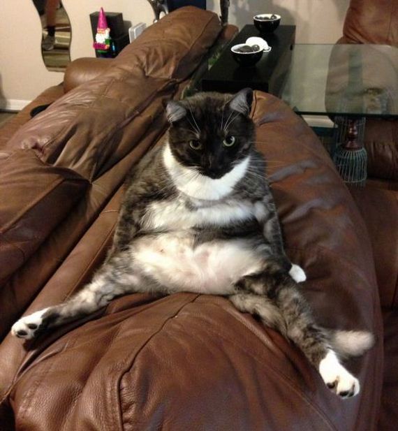 acid_picdump_2