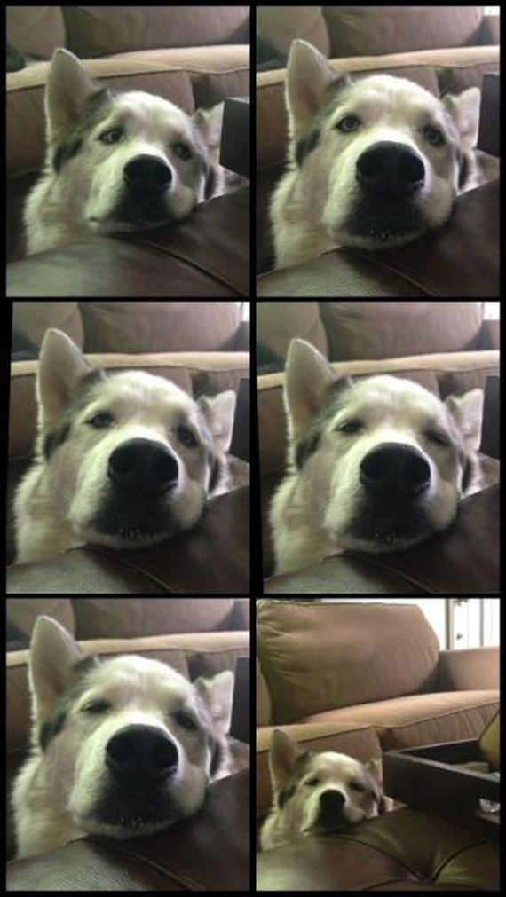 acid_picdump_2