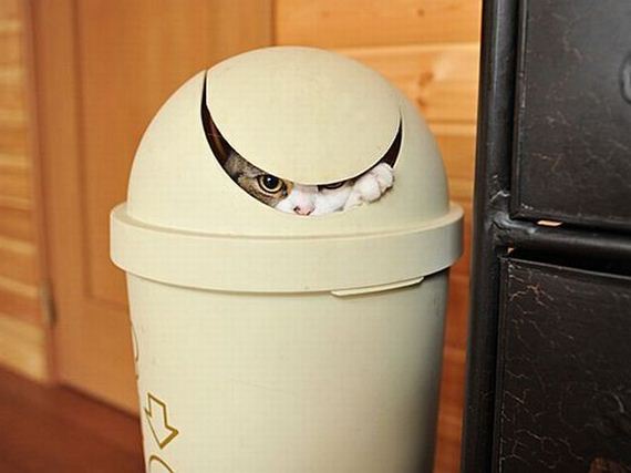acid_picdump_2