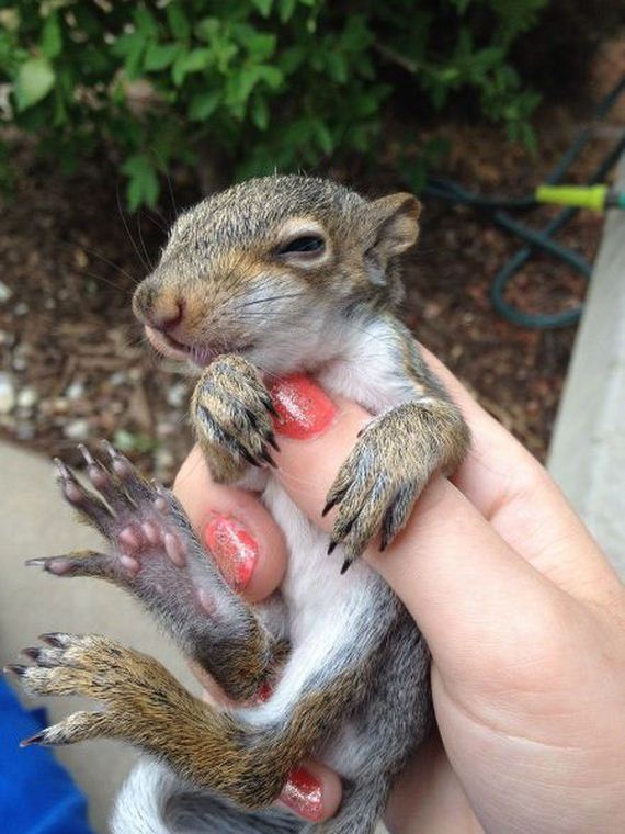 acid_picdump_2
