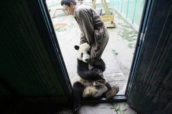 acid_picdump_2