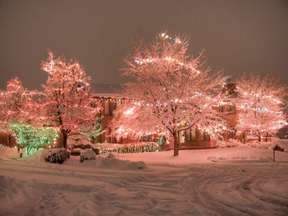 amazing_christmas_lights