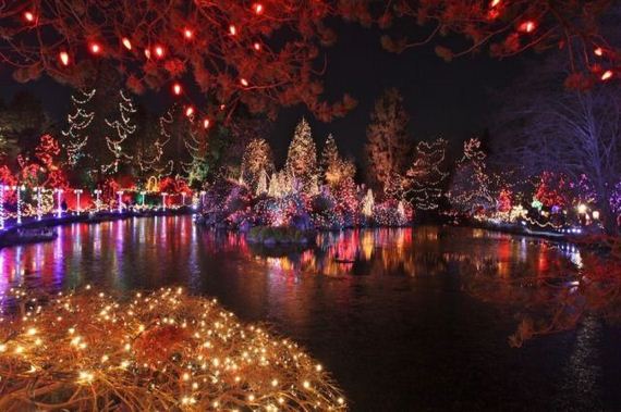 amazing_christmas_lights