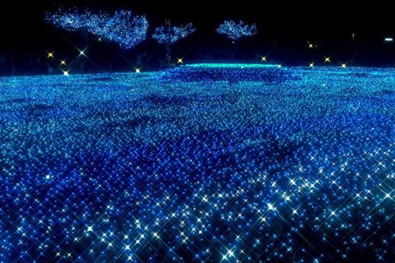 amazing_christmas_lights