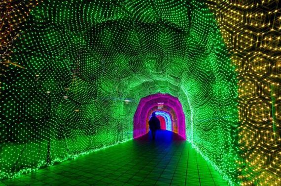 amazing_christmas_lights