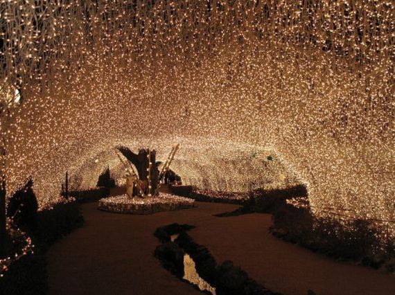 amazing_christmas_lights
