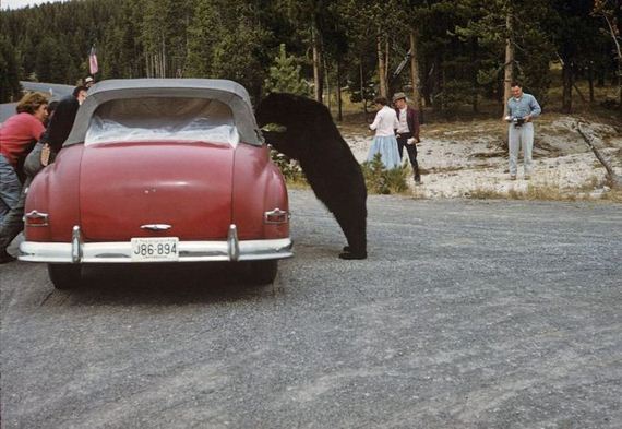 american_cars