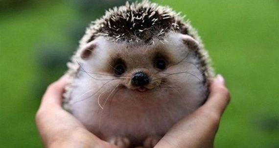awesome-photos-part-10