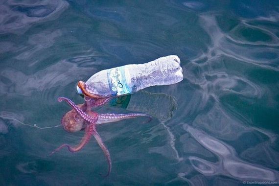 awesome-photos-part-10