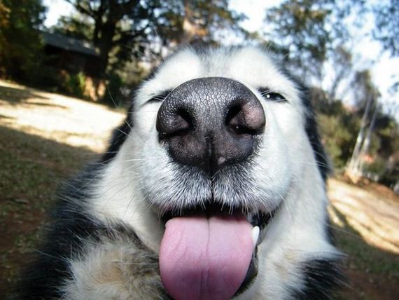 awesome-photos-part-10