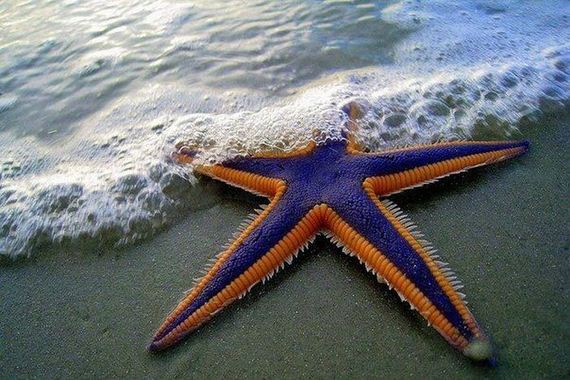 awesome-photos-part-11