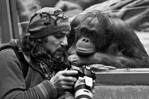 awesome-photos-part-11