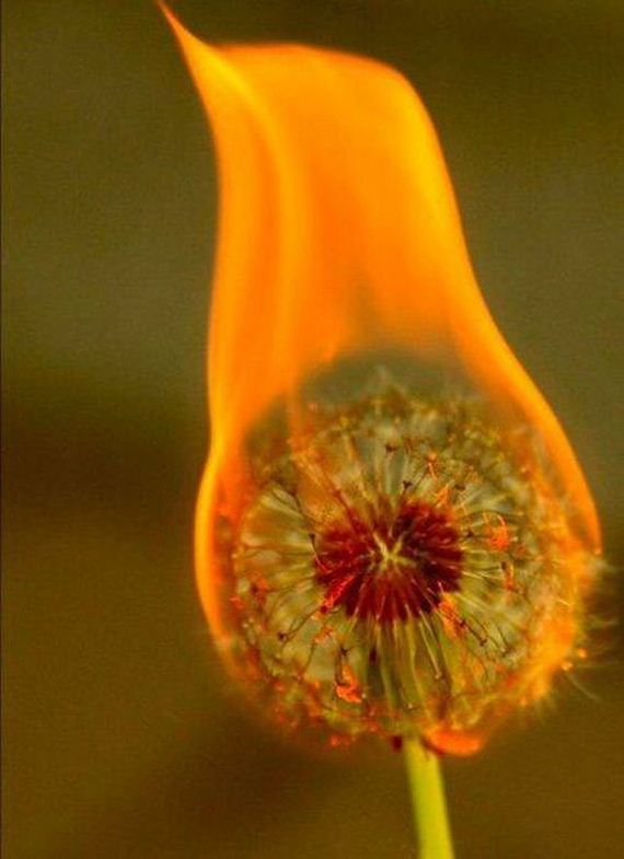 awesome-photos-part-11