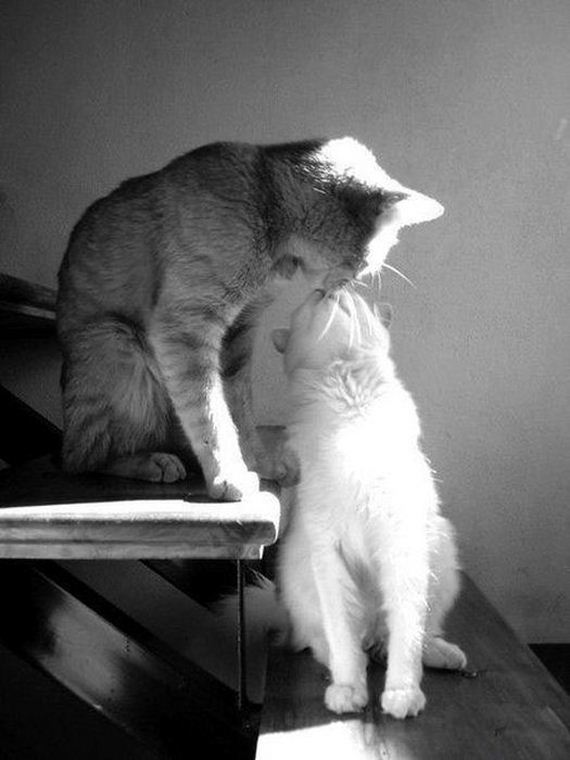 awesome-photos-part-11