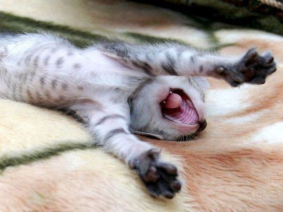 awesome-photos-part-11