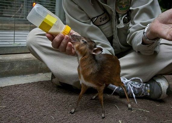 awesome-photos-part-12