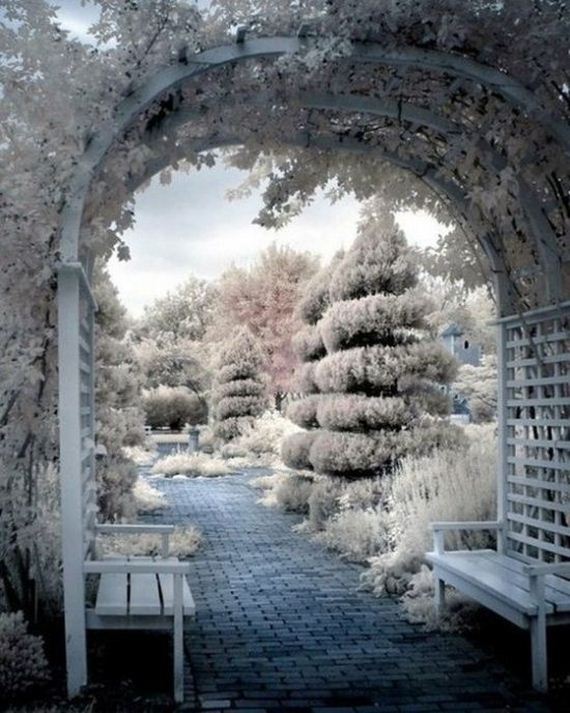 awesome-photos-part-12