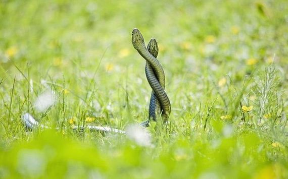 awesome-photos-part-13