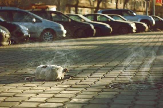 awesome-photos-part-13