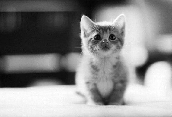 awesome-photos-part