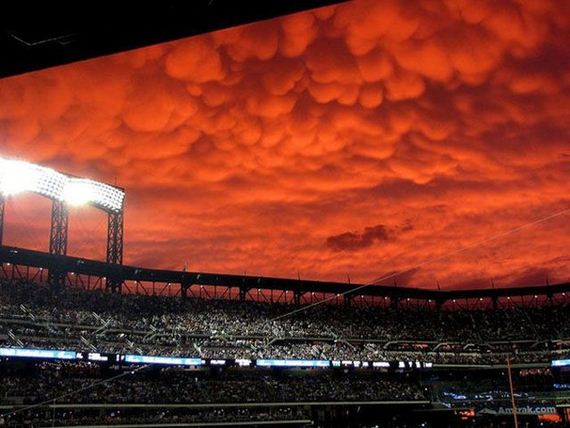 awesome_photo_29