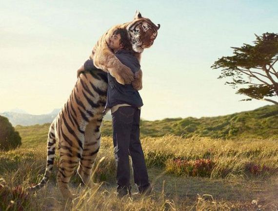 awesome_photo_29